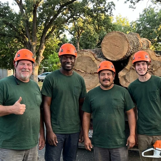 George tree crew with a truck loaded with oak logs in Stockton
